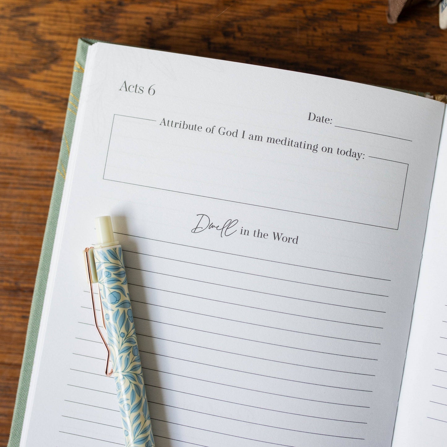 Behold New Testament Journal | Volume 2 | John - Romans