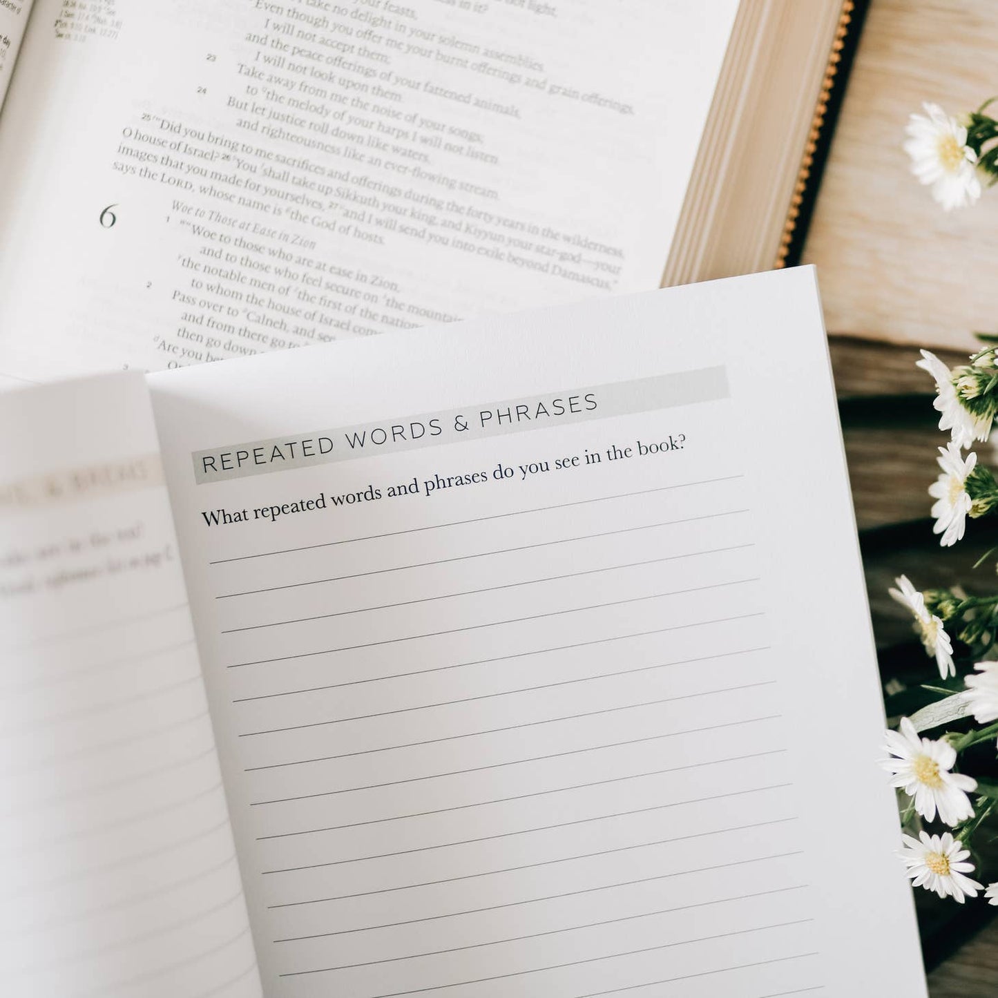 Book by Book-Bible Study Companion
